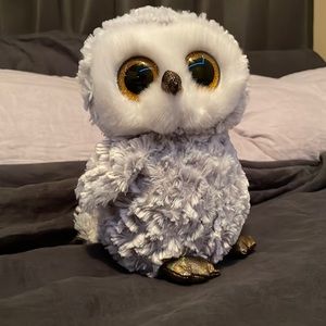White and Grey Owl